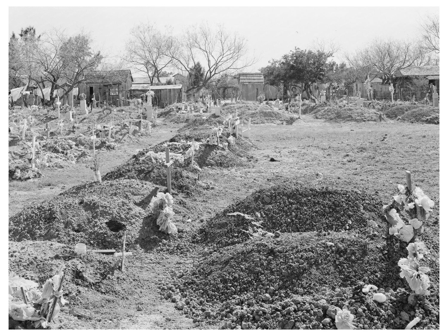 Cemetery in Raymondville Texas February 1939 - Available at KNOWOL