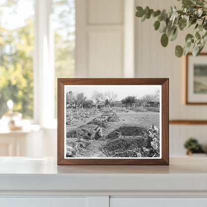 Cemetery in Raymondville Texas February 1939 - Available at KNOWOL
