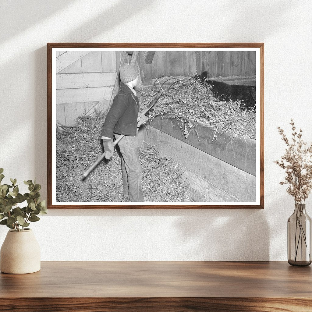 Charles Estes Feeding Cattle in March 1937 Indiana - Available at KNOWOL