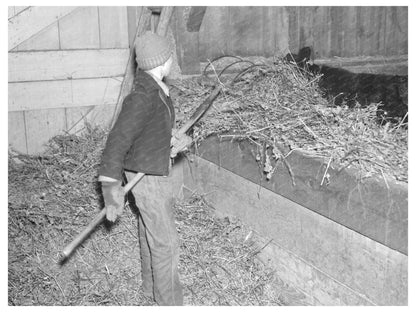 Charles Estes Feeding Cattle in March 1937 Indiana - Available at KNOWOL