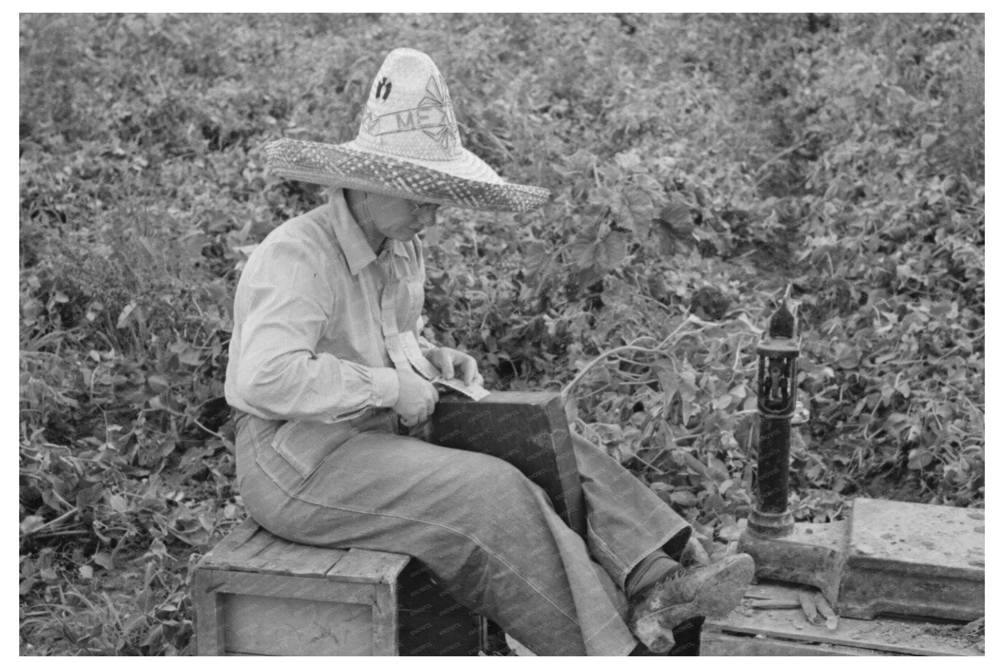 Checker at Pea Picking Outfit Nampa Idaho June 1941 - Available at KNOWOL