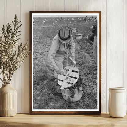 Checker Supervising Spinach Laborers La Pryor Texas 1939 - Available at KNOWOL