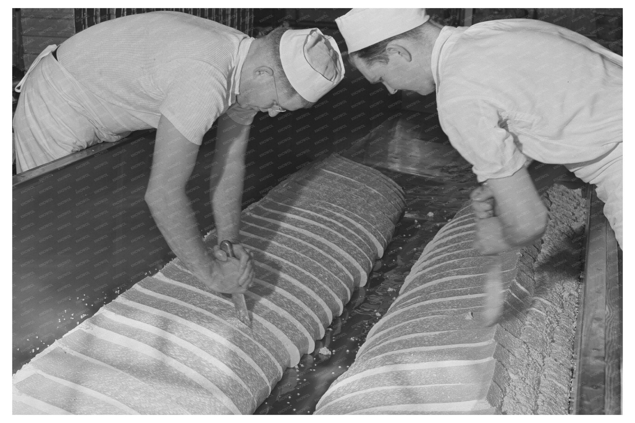 Cheddar Cheese Production at Tillamook Plant 1941 - Available at KNOWOL