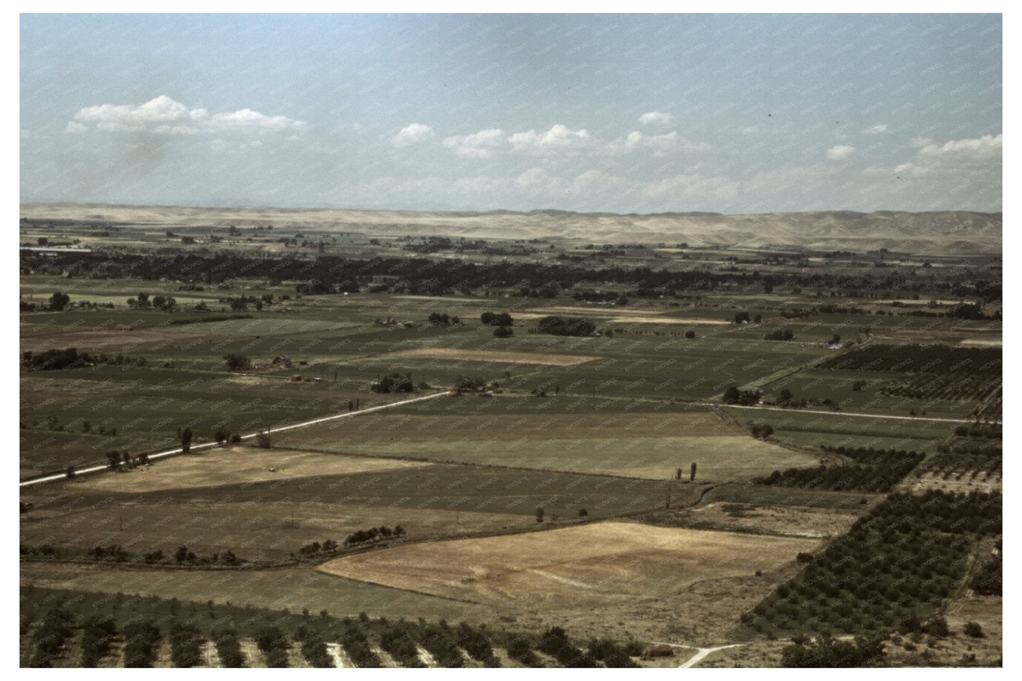 Cherry Orchards in Emmett Idaho July 1941 - Available at KNOWOL