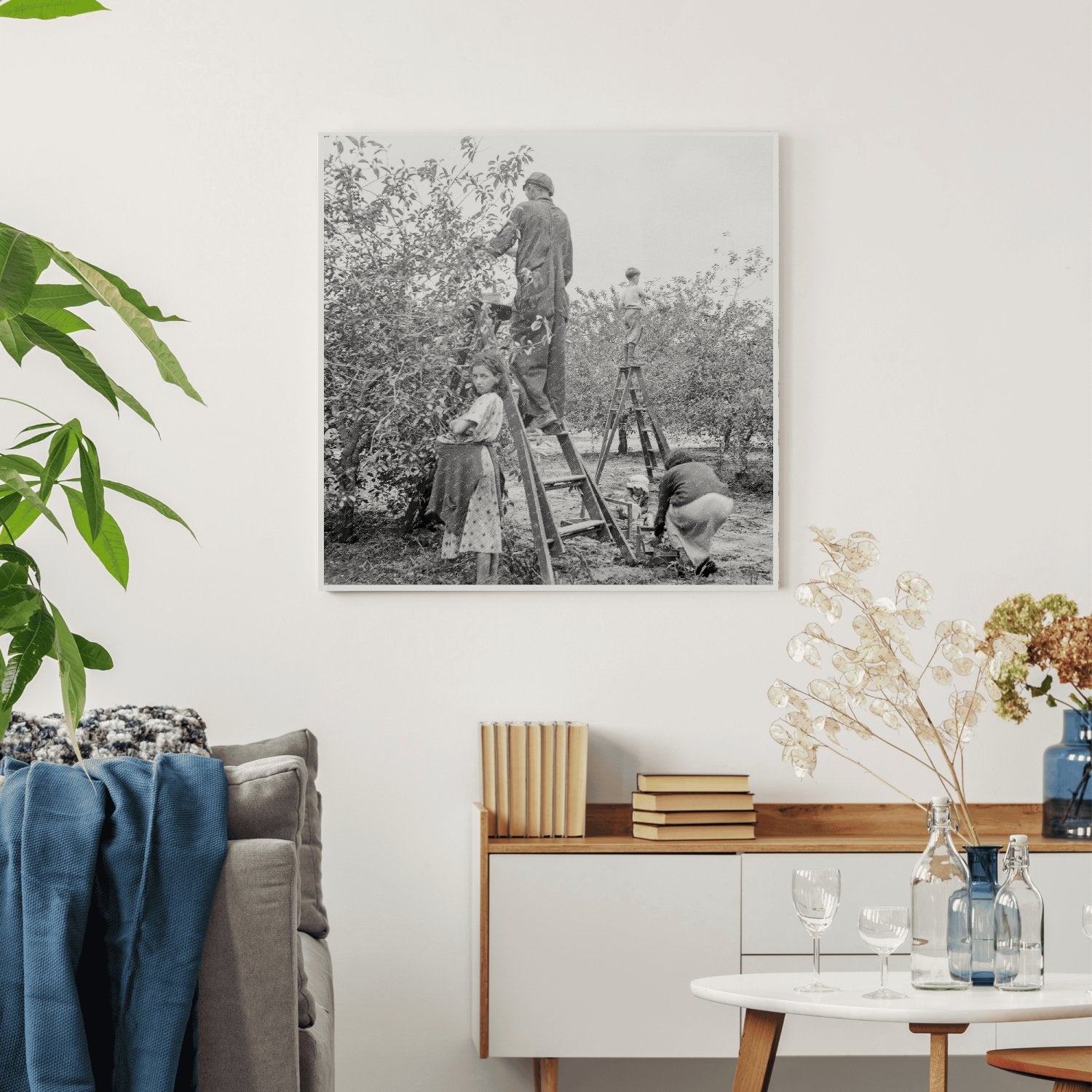 Cherry Pickers Harvesting in Millville New Jersey 1936 - Available at KNOWOL