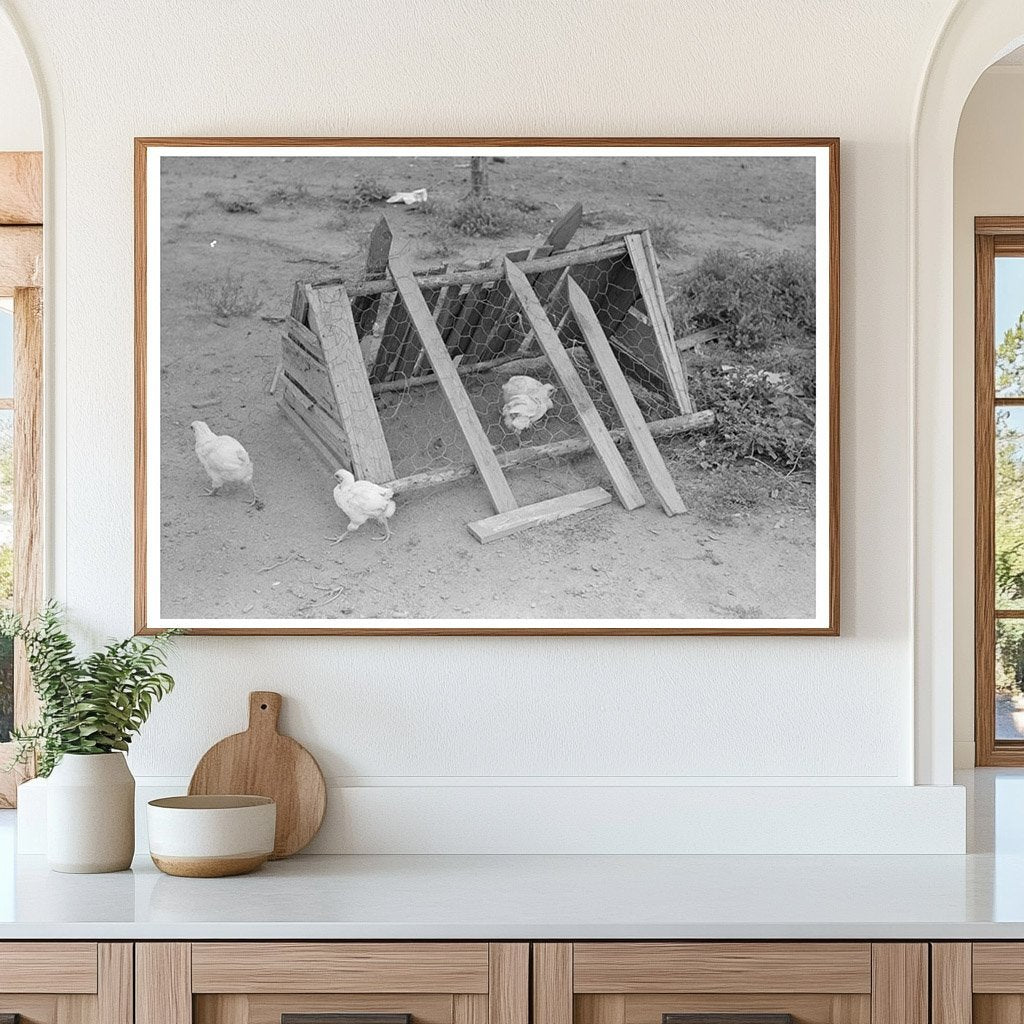 Chicken Coop on Sharecropper Farm Southeast Missouri 1938 - Available at KNOWOL