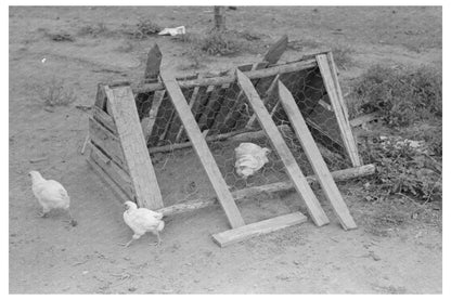 Chicken Coop on Sharecropper Farm Southeast Missouri 1938 - Available at KNOWOL