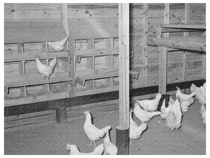 Chicken House at Sabine Farms Marshall Texas 1939 - Available at KNOWOL