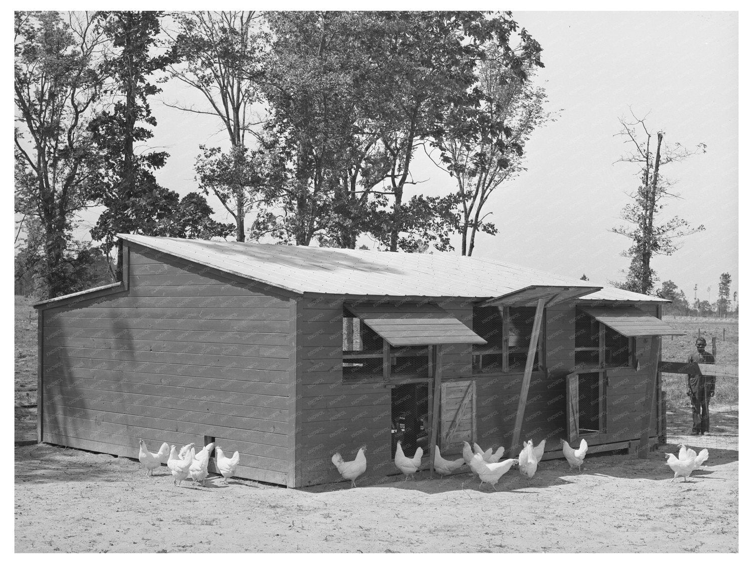 Chicken House at Sabine Farms Marshall Texas April 1939 - Available at KNOWOL