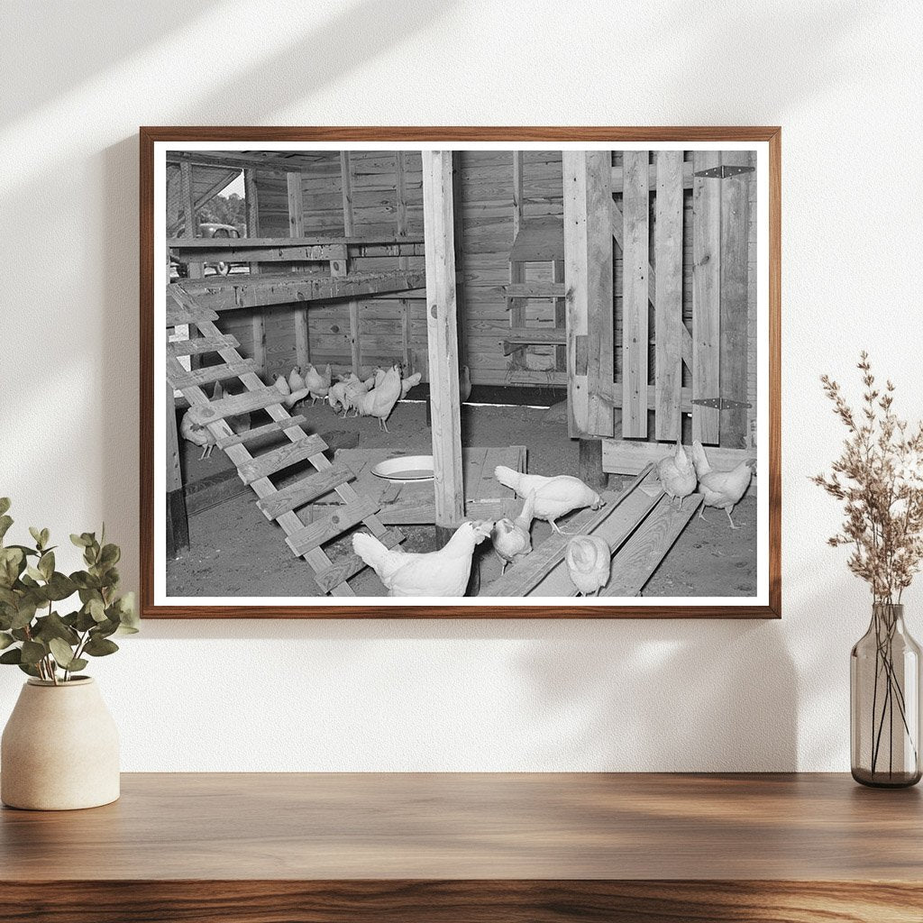 Chicken House on Sabine Farms Marshall Texas April 1939 - Available at KNOWOL