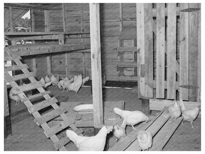 Chicken House on Sabine Farms Marshall Texas April 1939 - Available at KNOWOL