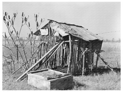 Chicken Shed on Sharecropper Farm Transylvania Louisiana 1939 - Available at KNOWOL
