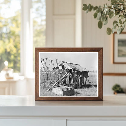 Chicken Shed on Sharecropper Farm Transylvania Louisiana 1939 - Available at KNOWOL