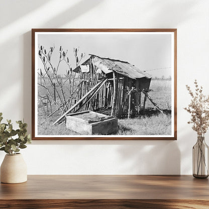 Chicken Shed on Sharecropper Farm Transylvania Louisiana 1939 - Available at KNOWOL