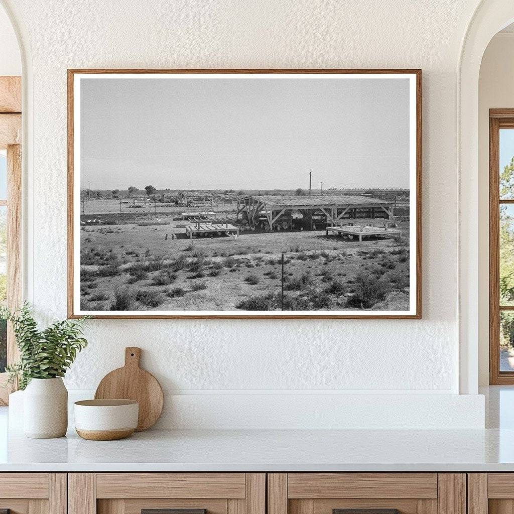 Chicken Shelters at Casa Grande Valley Farms Arizona 1940 - Available at KNOWOL