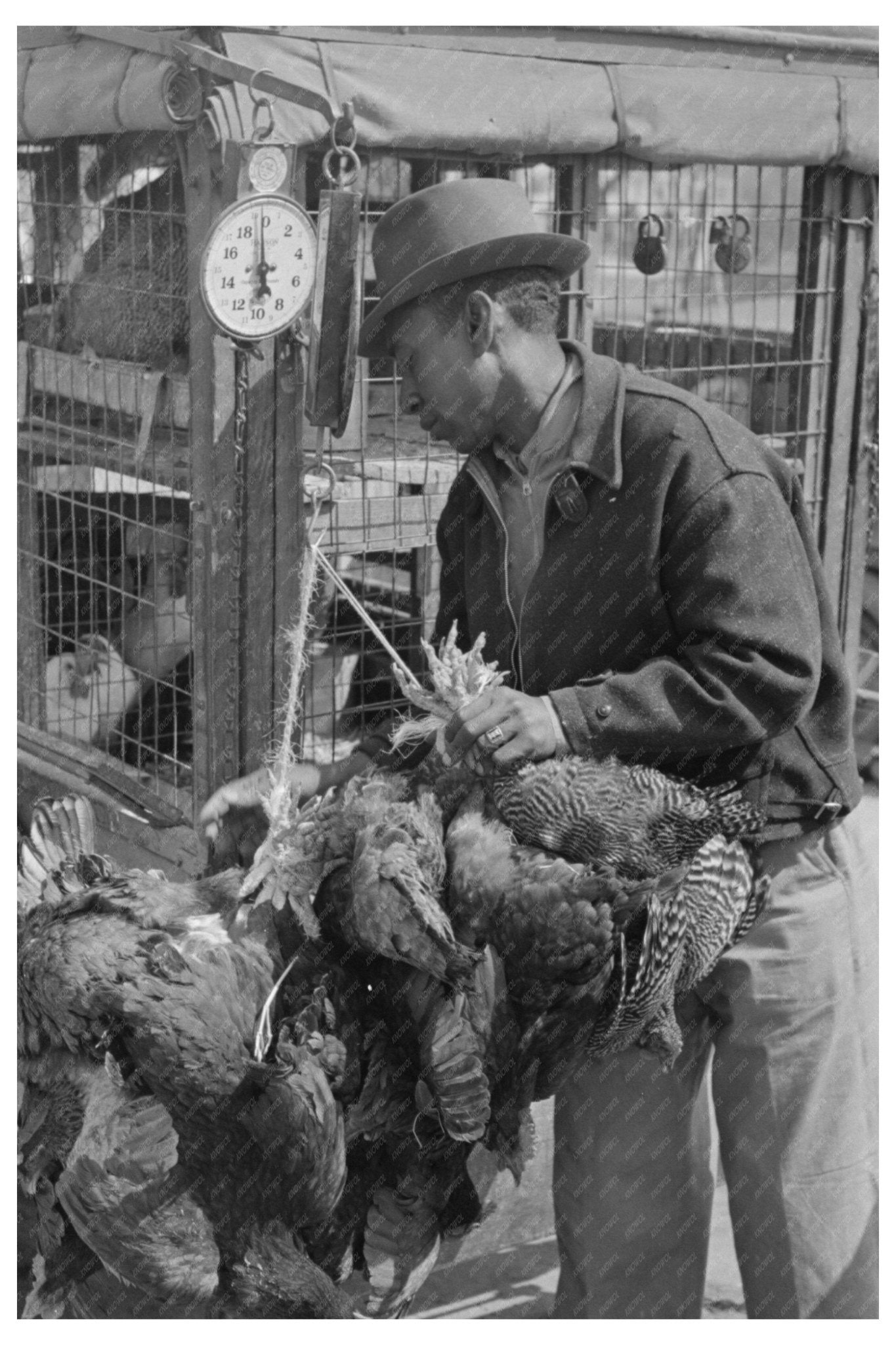 Chickens Weighed at San Antonio Produce Market 1939 - Available at KNOWOL