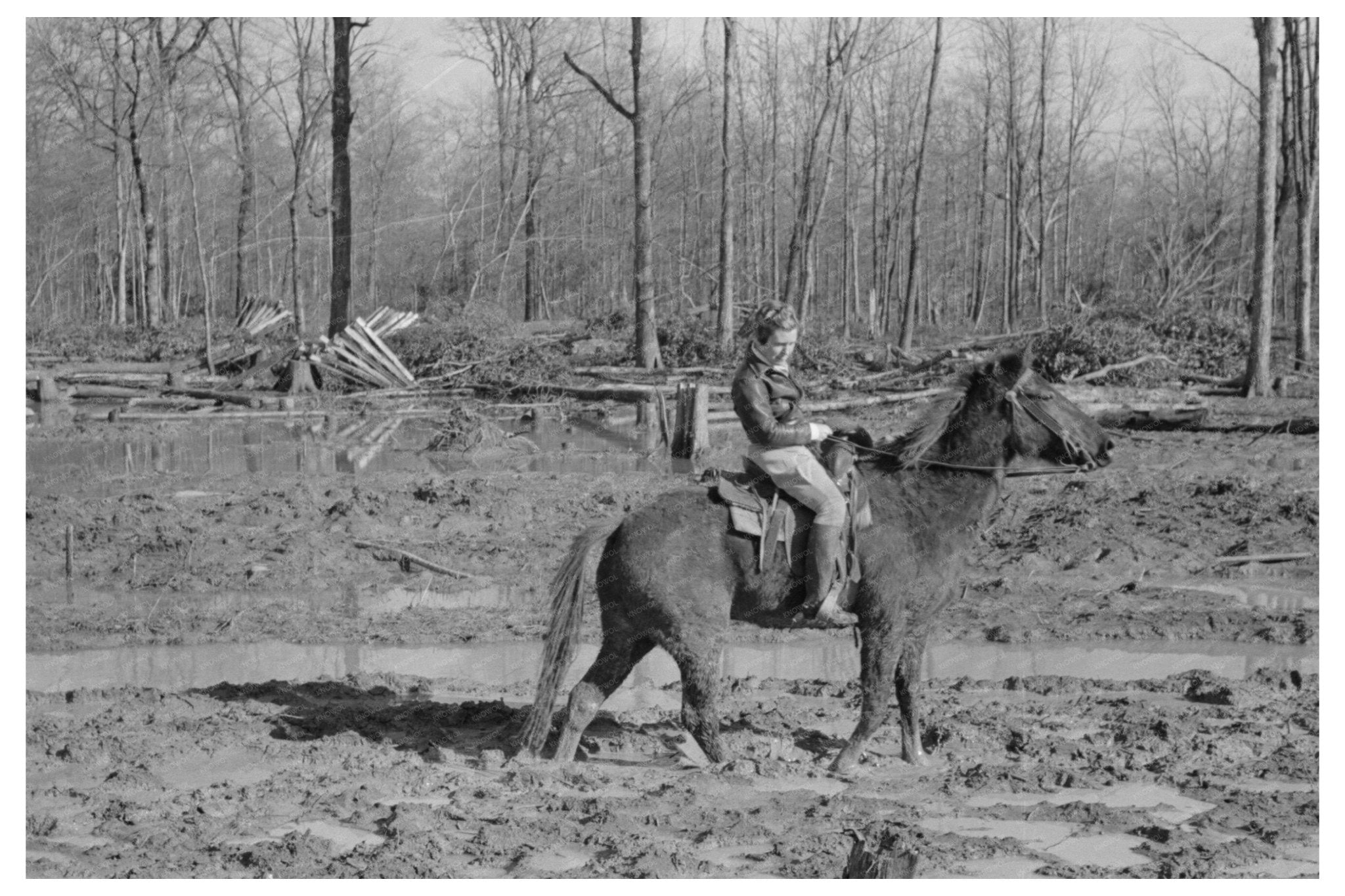 Chicot Farms Supervisor on Horseback 1939 - Available at KNOWOL