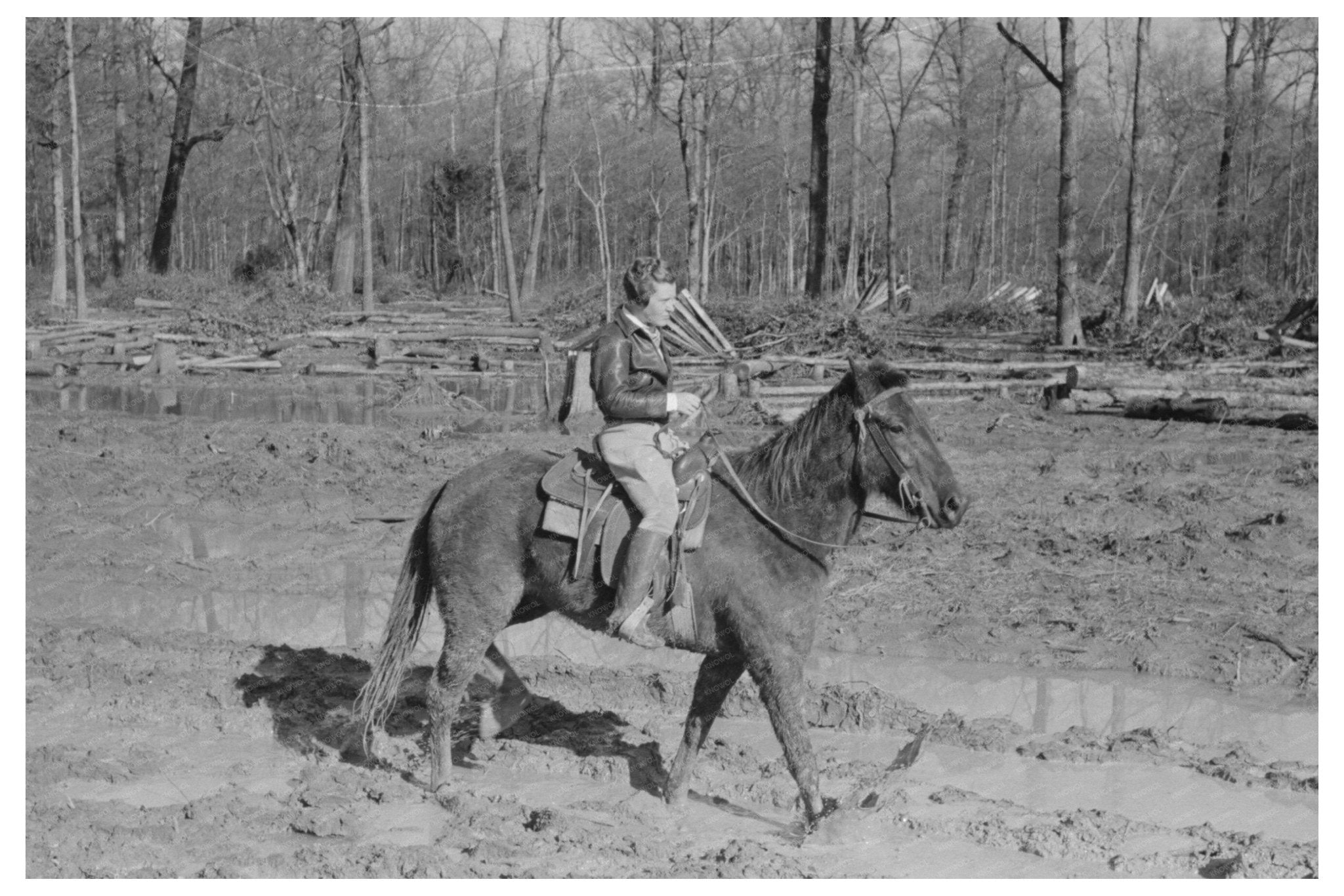 Chicot Farms Supervisor on Horseback January 1939 - Available at KNOWOL