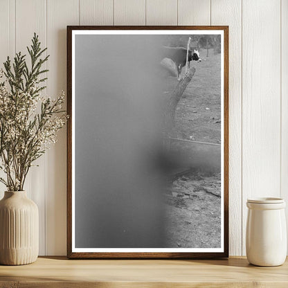 Child Climbing Fence with Water Pail Harlingen Texas 1939 - Available at KNOWOL