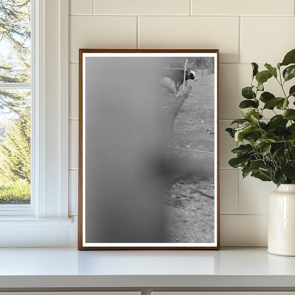 Child Climbing Fence with Water Pail Harlingen Texas 1939 - Available at KNOWOL