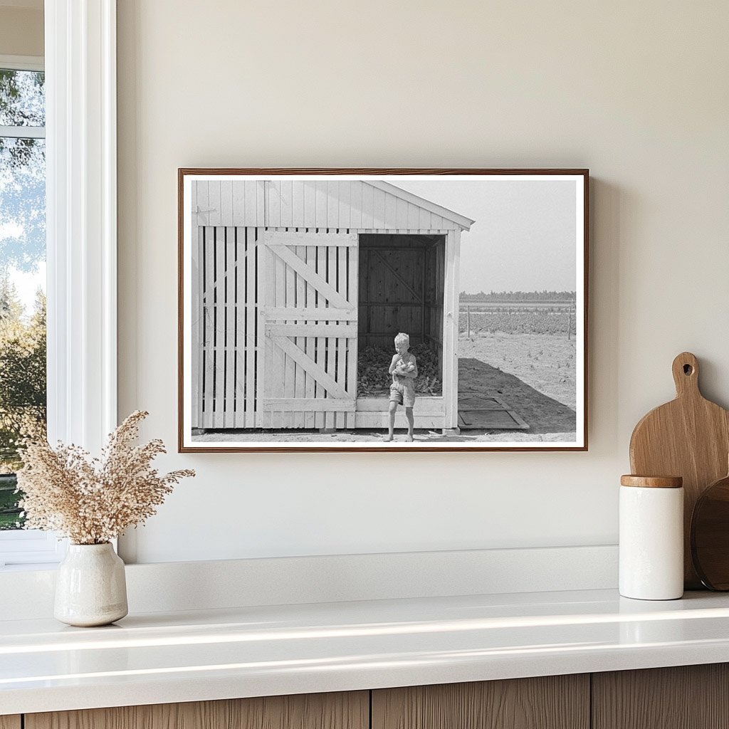 Child Collecting Corn in Southeast Missouri 1938 - Available at KNOWOL