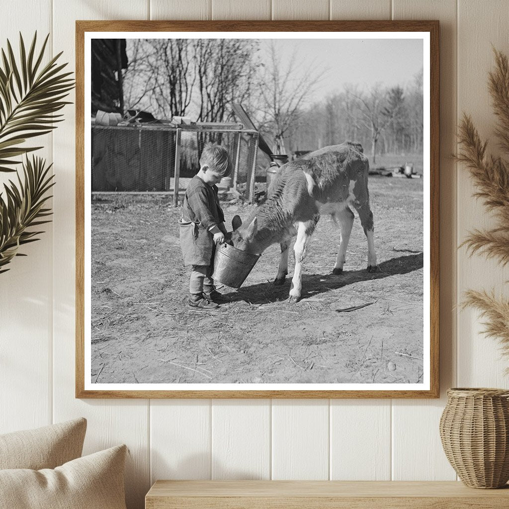 Child Feeding Calf on Farm in Gibbs City Michigan 1937 - Available at KNOWOL