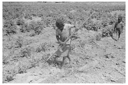 Child Gardening on Sharecropper Farm May 1938 Missouri - Available at KNOWOL