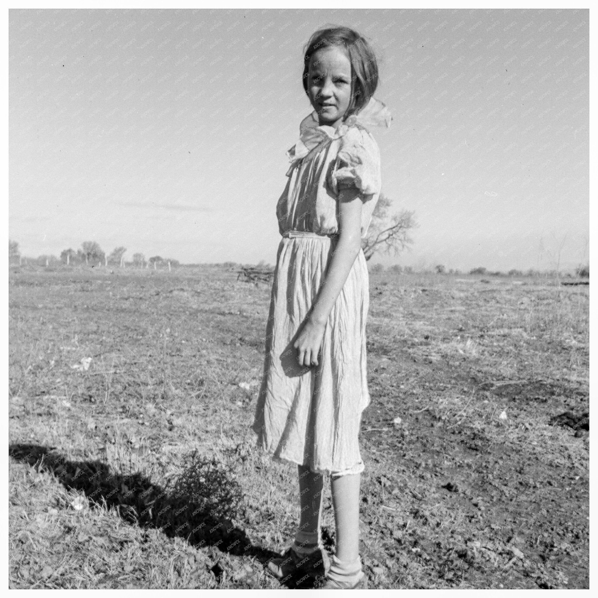 Child Herding Cows in Bosque Farms New Mexico 1935 - Available at KNOWOL