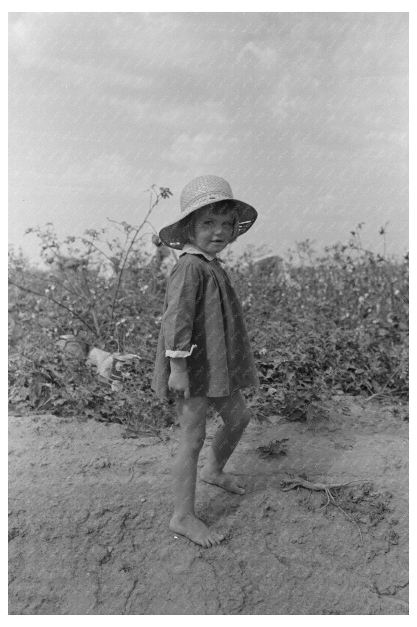 Child in Cotton Field Arkansas September 1938 - Available at KNOWOL