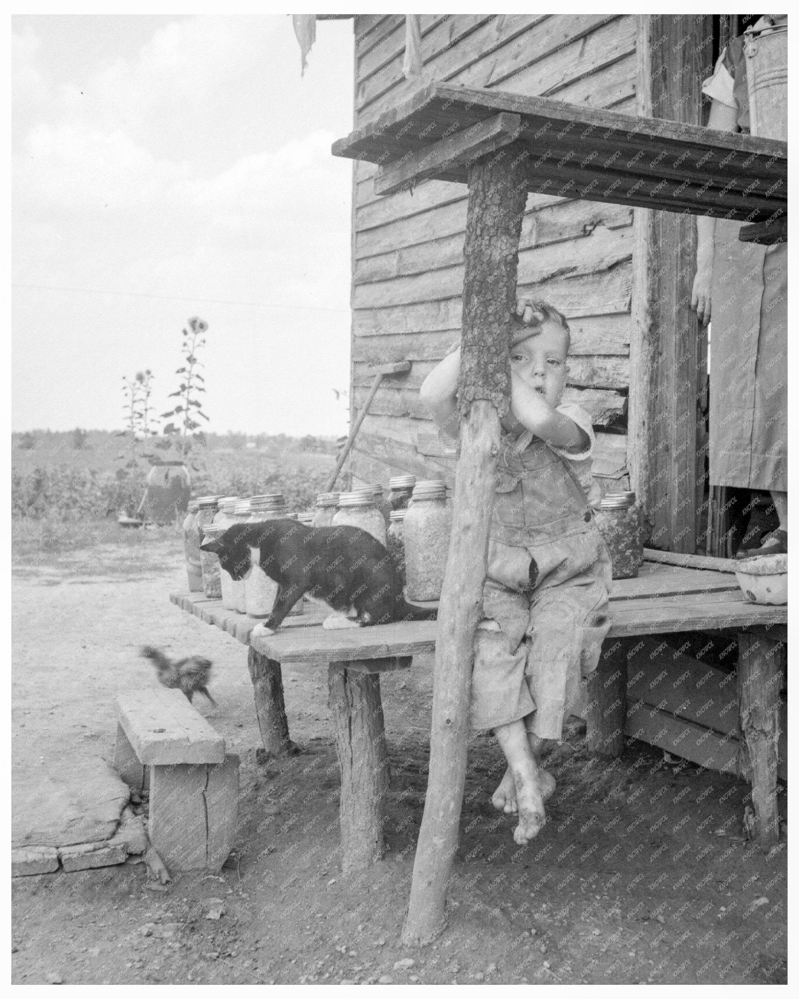 Child of a Sharecropper Gaffney South Carolina July 1937 FSA Collection - Available at KNOWOL