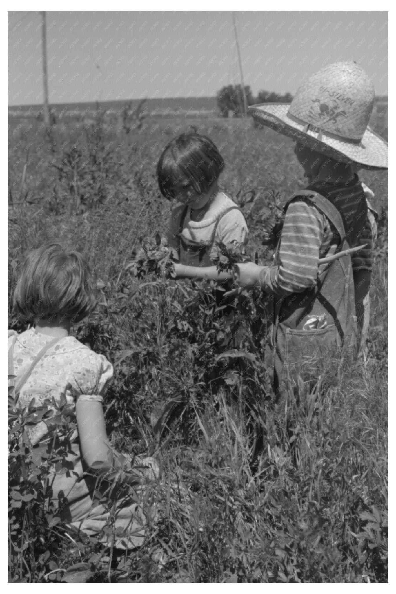 Child of Farm Worker at Labor Camp Caldwell Idaho 1941 - Available at KNOWOL