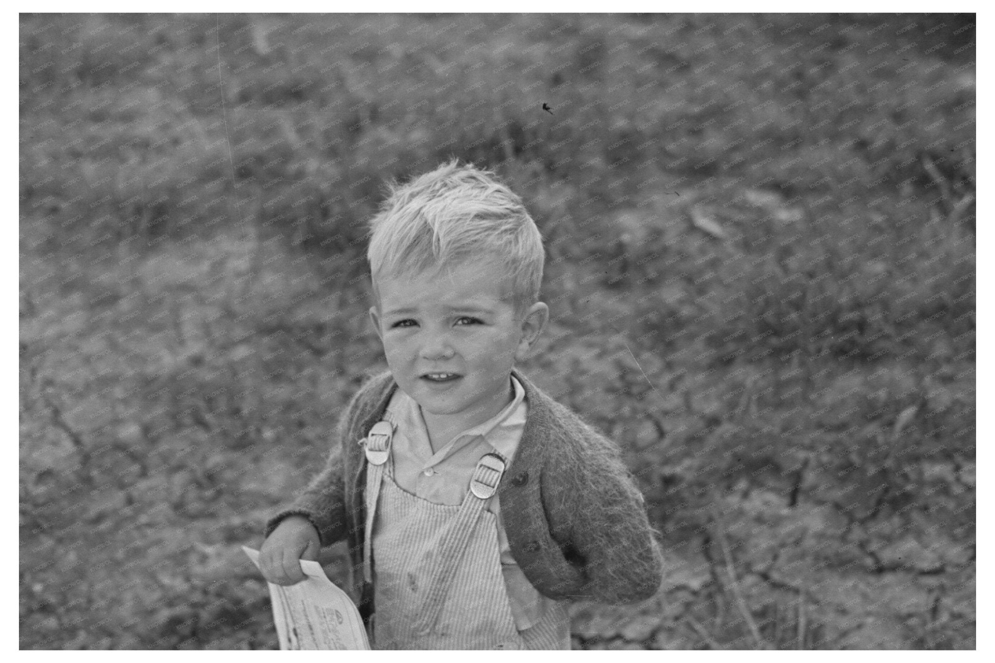 Child of Farmer in Cut - Over Minnesota September 1937 - Available at KNOWOL