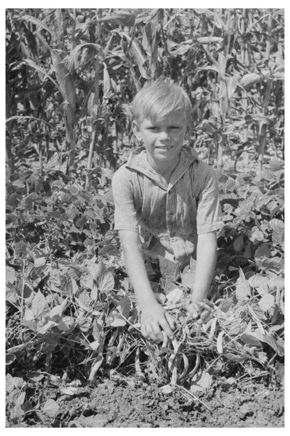 Child on Kansas Farm with String Bean Vines August 1939 - Available at KNOWOL