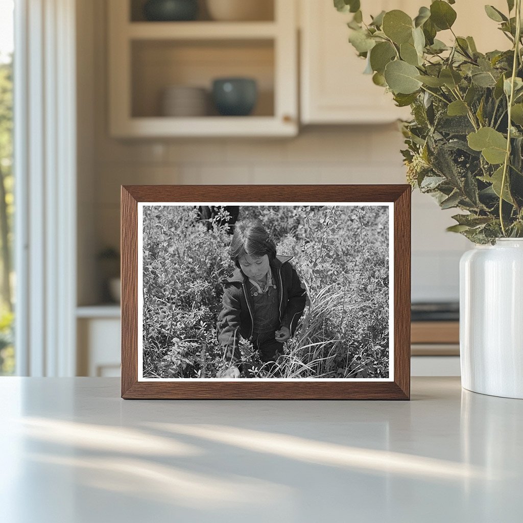 Child Picking Blueberries in Little Fork Minnesota 1937 - Available at KNOWOL