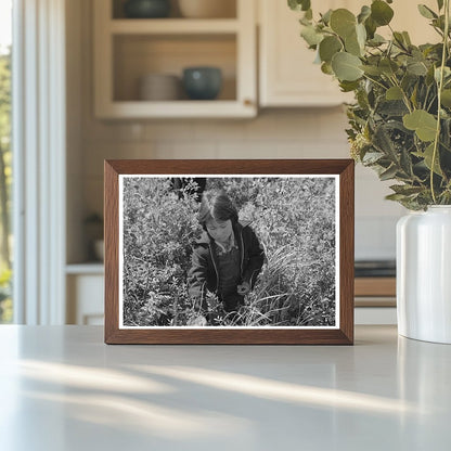 Child Picking Blueberries in Little Fork Minnesota 1937 - Available at KNOWOL