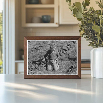 Child Picking Strawberries in Ponchatoula Louisiana 1939 - Available at KNOWOL
