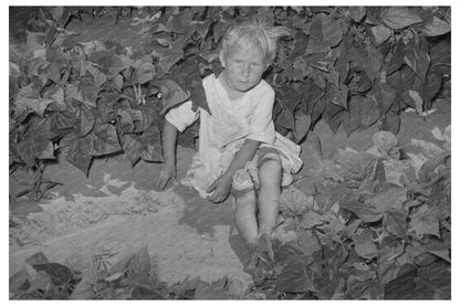 Child Playing in Bean Patch Oklahoma June 1939 - Available at KNOWOL