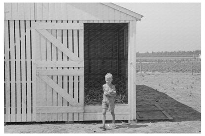 Child Retrieving Corn on Missouri Farm May 1938 - Available at KNOWOL