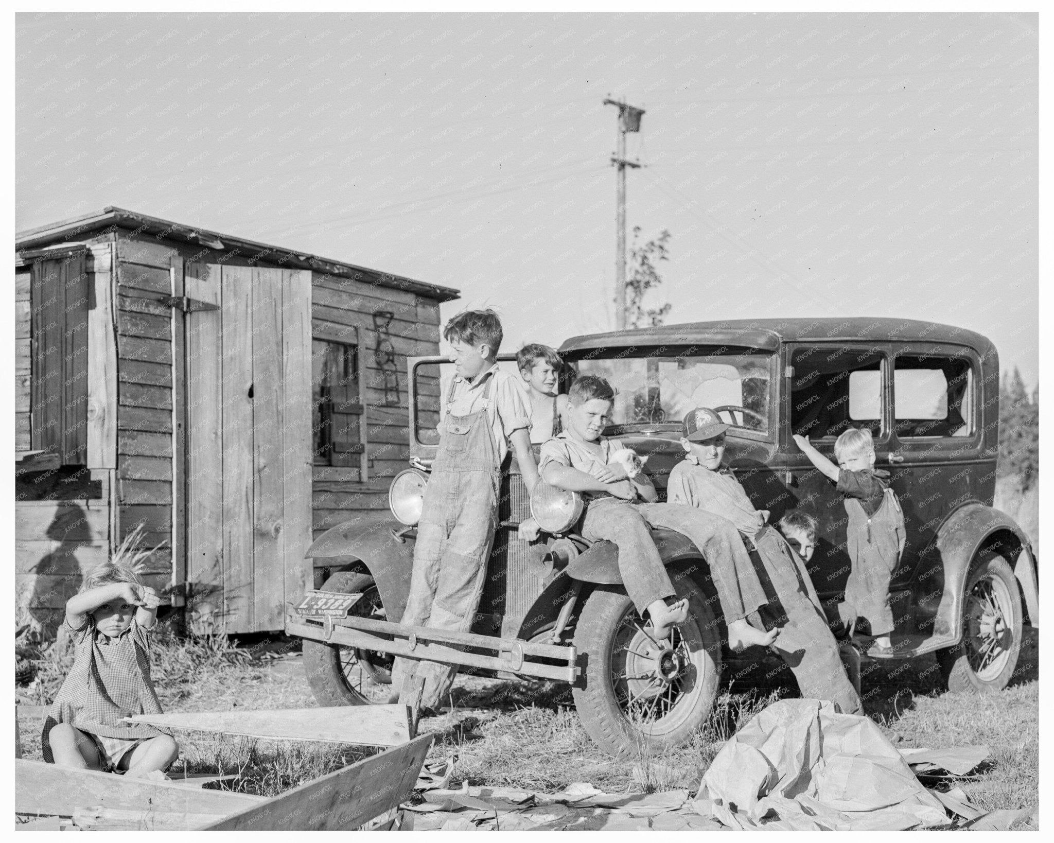 Children Bean Picking in Marion County Oregon 1939 - Available at KNOWOL