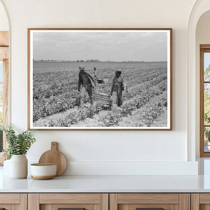 Children Harvesting String Beans Southeast Missouri 1938 - Available at KNOWOL