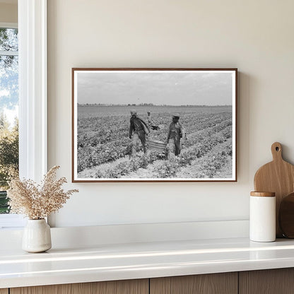 Children Harvesting String Beans Southeast Missouri 1938 - Available at KNOWOL