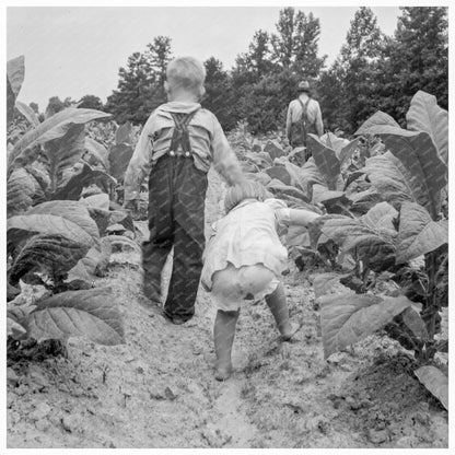 Children Helping Tobacco Sharecropper in 1939 North Carolina - Available at KNOWOL