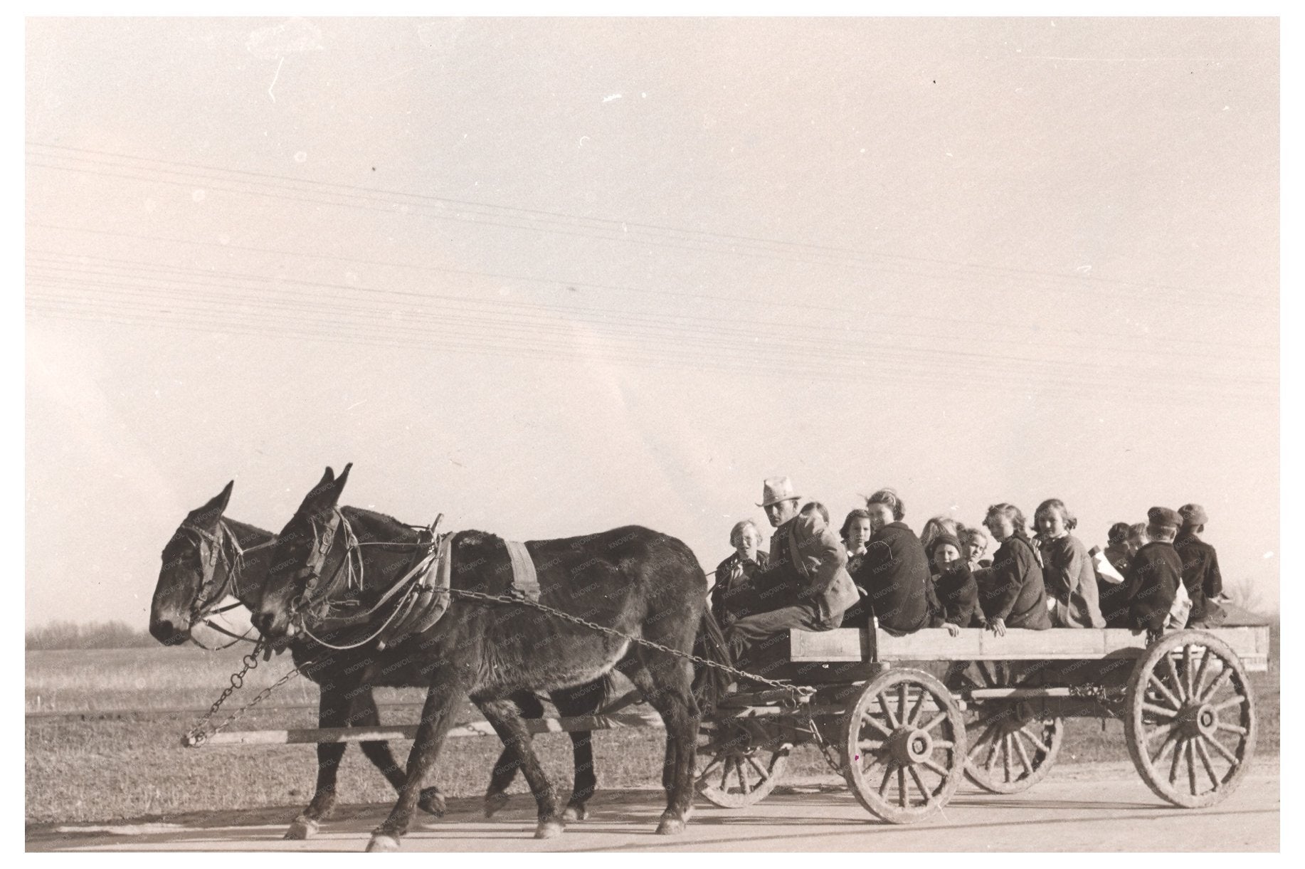 Children in Mule - Pulled Wagon Louisiana January 1939 - Available at KNOWOL