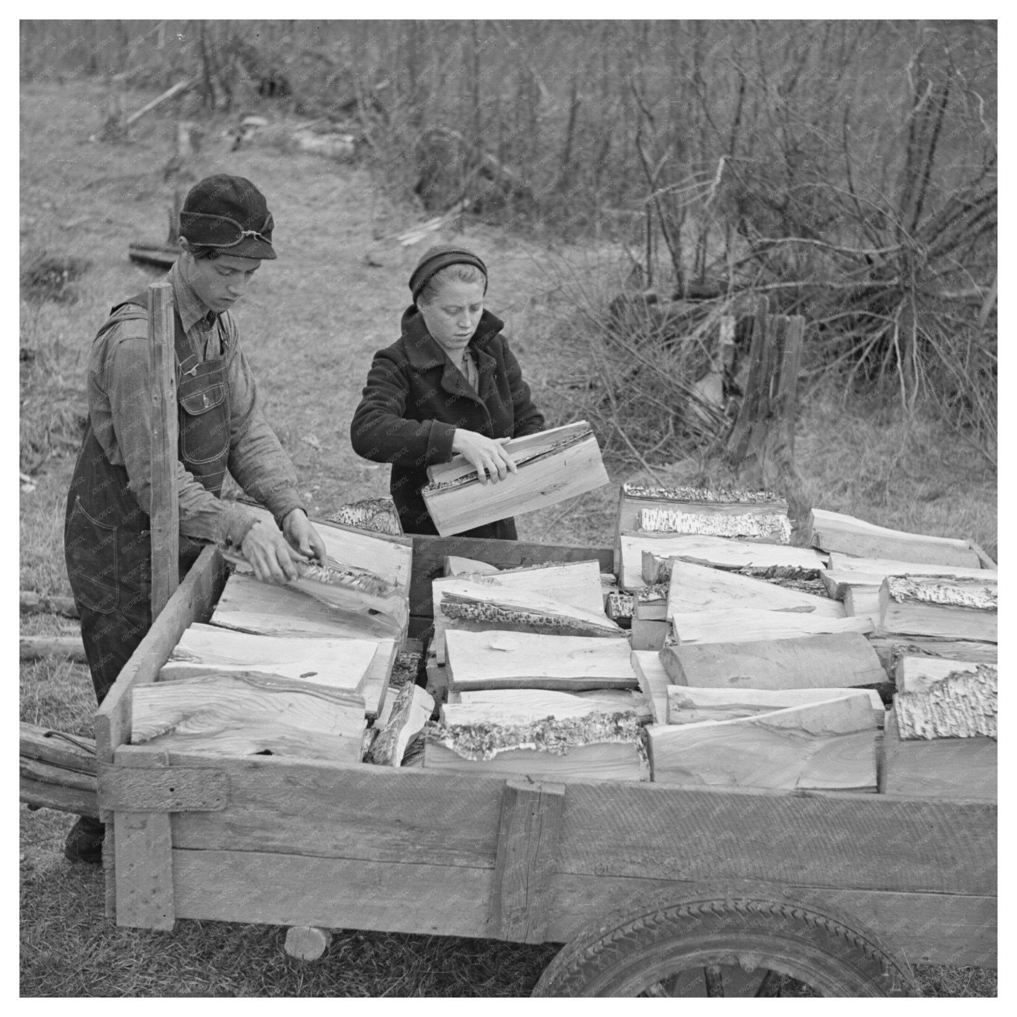 Children Loading Firewood in Rural Michigan 1937 - Available at KNOWOL