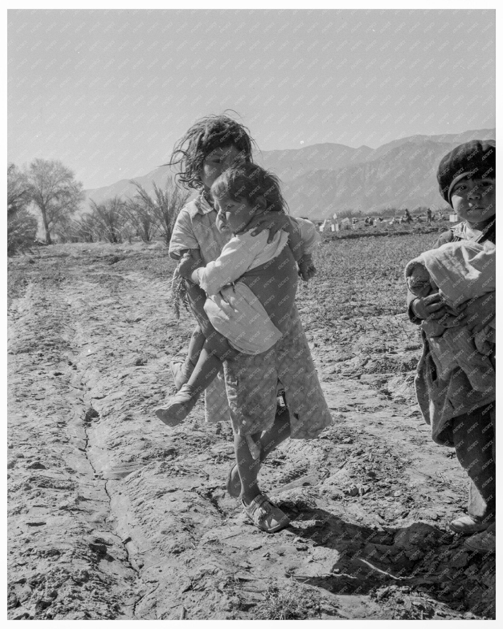 Children of Migratory Mexican Field Workers Tying Carrots in Coachella Valley 1937 - Available at KNOWOL