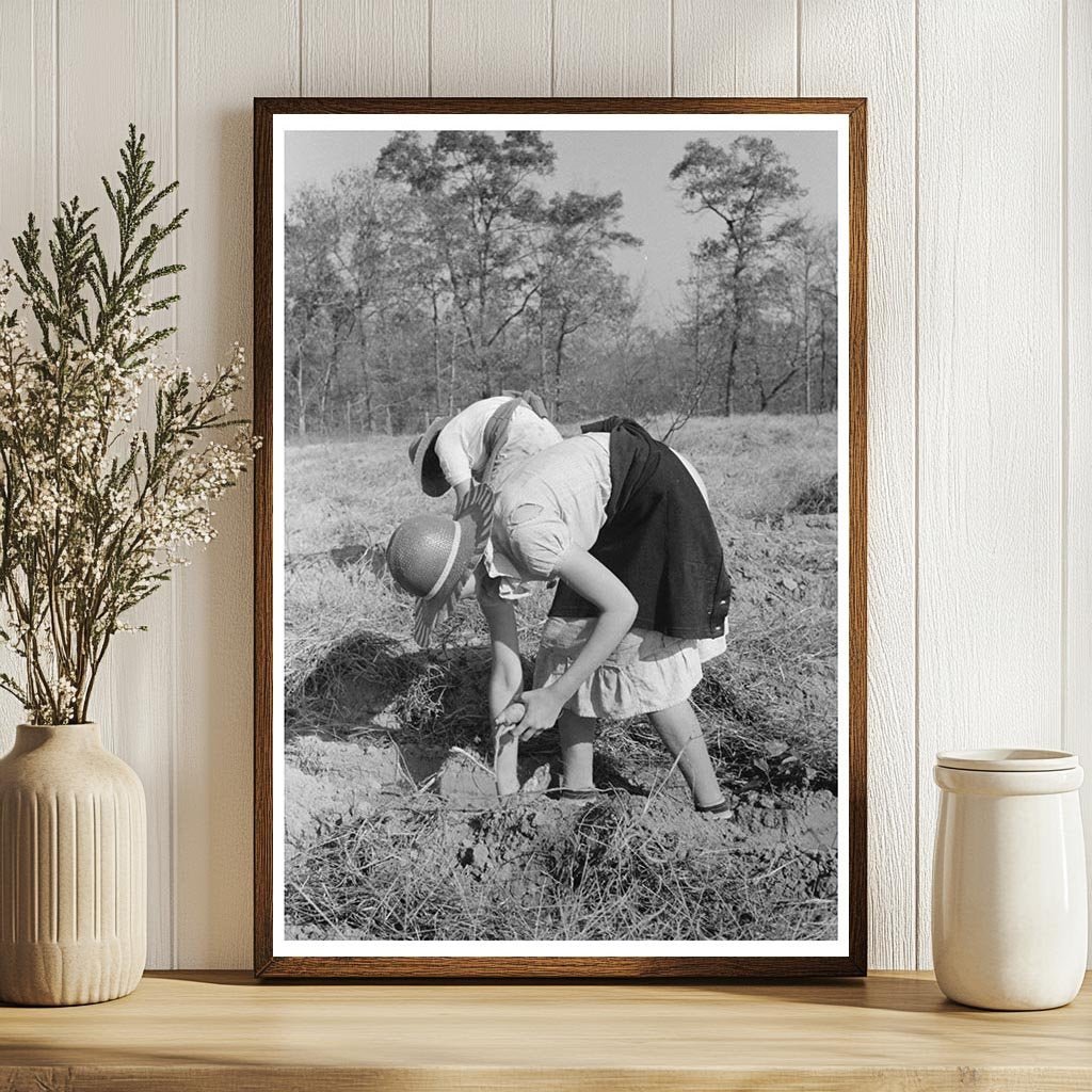 Children of Sharecroppers with Sweet Potatoes 1938 - Available at KNOWOL