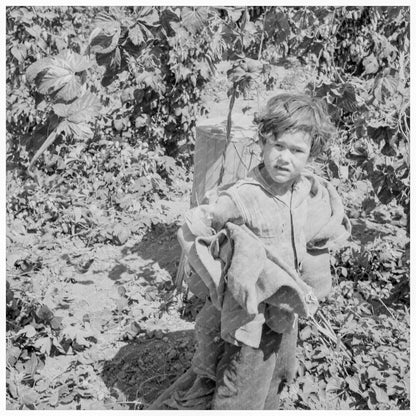 Children Working in Hop Fields Oregon 1939 - Available at KNOWOL