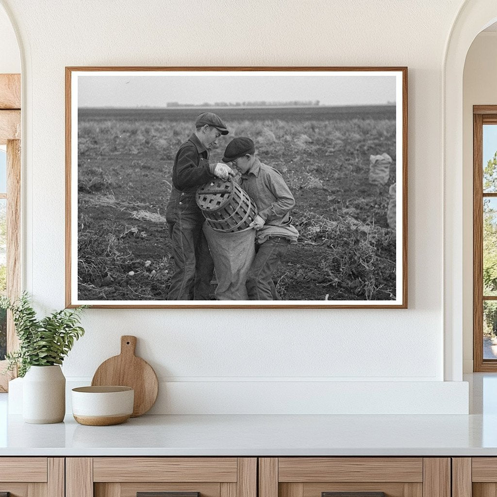 Children Working in Potato Fields East Grand Forks 1937 - Available at KNOWOL