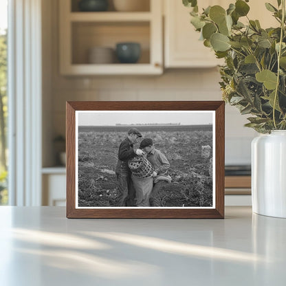 Children Working in Potato Fields East Grand Forks 1937 - Available at KNOWOL