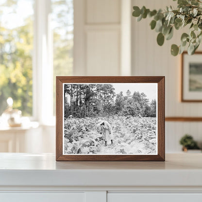 Children Working in Tobacco Field Granville County 1939 - Available at KNOWOL